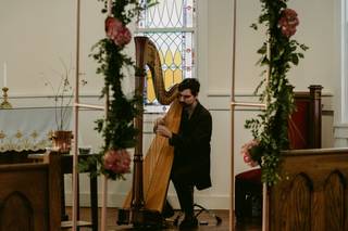 Stephan Haluska Harp - 1