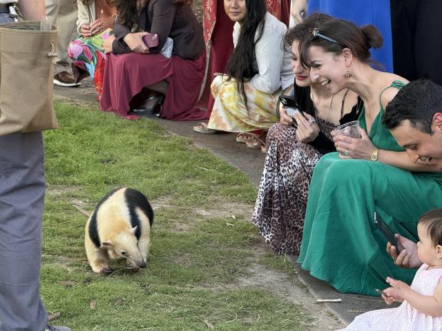 San Diego Zoo Wildlife Alliance - 3