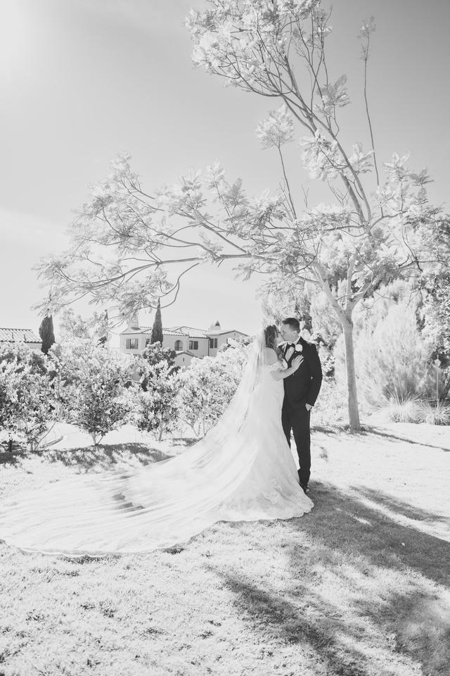 Sun & Sparrow Photography - 2