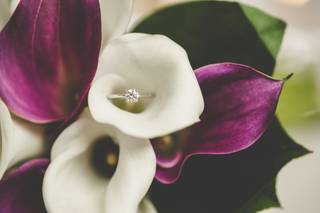 Captured by Alyssa - 33