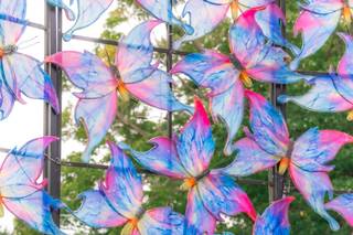 Photography By Jill Emmer - 11