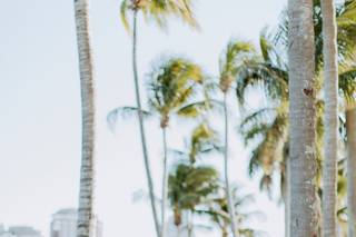 Zoom Wedding Studio - 16