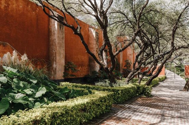 Ex-Hacienda La Petaca - 1