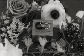 Torey Rohde Photography - 5