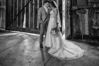 Brant Bender Photography - 14