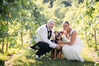 7 Vines Vineyard - 8