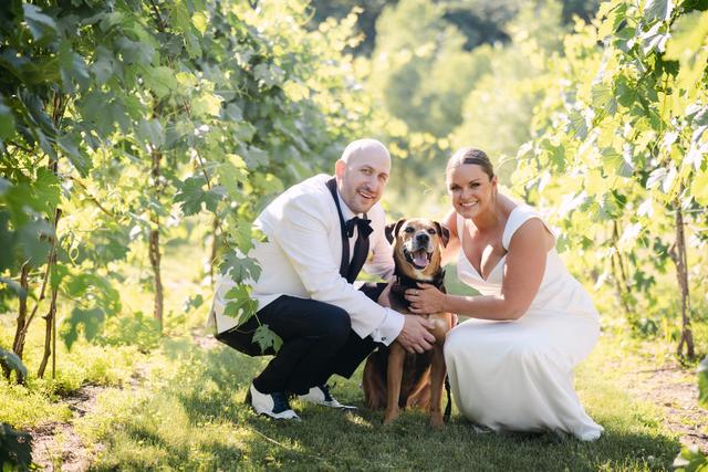 7 Vines Vineyard - 3