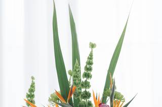 Watered Garden Florist - 16