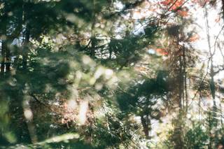 Todd Wilson Images - 16