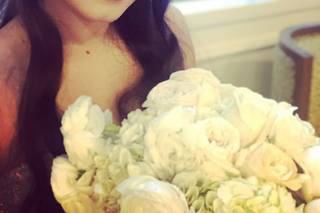 Ashley Brignolle LLC - 11