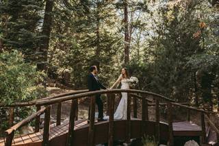 Arrowhead Pine Rose - 6