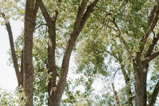 Moore Photography - 5