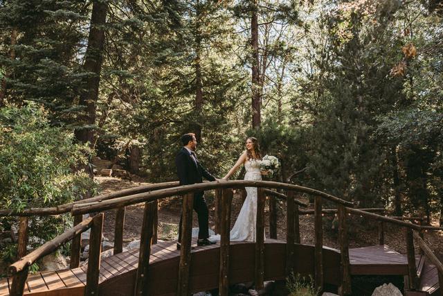 Arrowhead Pine Rose - 1