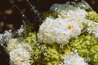 Alyssa Bray Events - 12