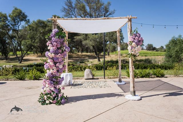 Miracle Chuppah - 1