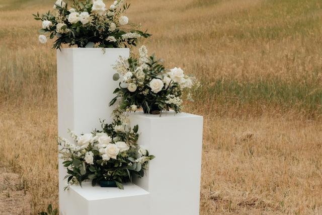 Wildflower & Willow - 3