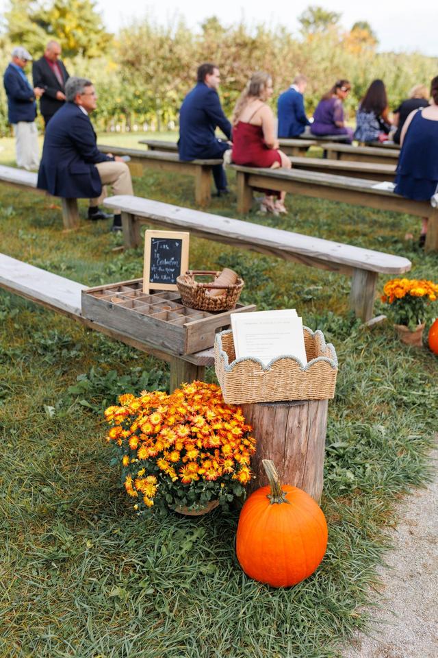 Hyland Orchard - 2