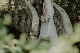A Photo Gallery - 24