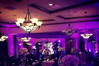 DiBOX events - 40