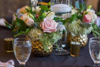 Jim Colman Photography - 7