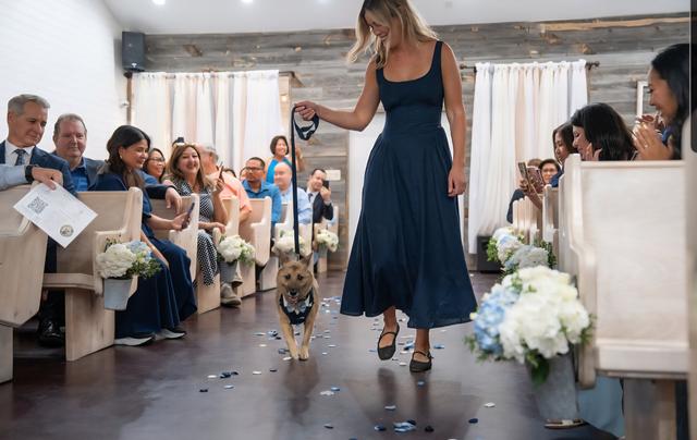 I Dog Too - Wedding Pet Attendant - 3