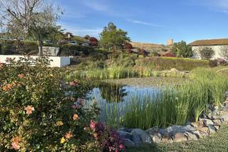 Truffle Pig Winery by Wedgewood Weddings - 9