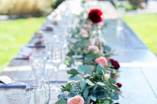 Alicia Parks Photography - 6