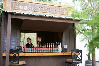 Goosenest Grove - 10
