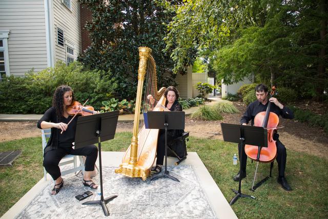 Laura Byrne Harpist - 3