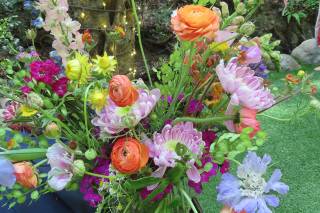 Lulu's House of Flowers - 8
