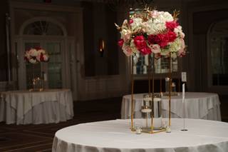 Elegantize Productions - 6