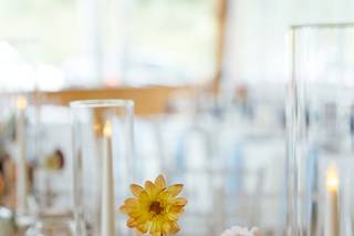 Tin Sparrow Events - 6