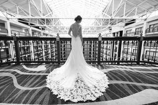 Lisa Hause Photography - 7