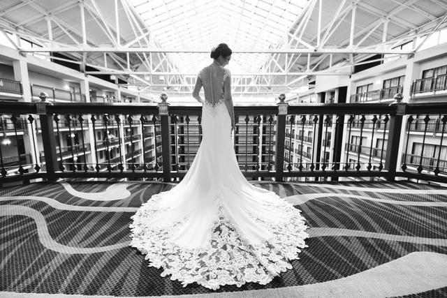 Lisa Hause Photography - 1