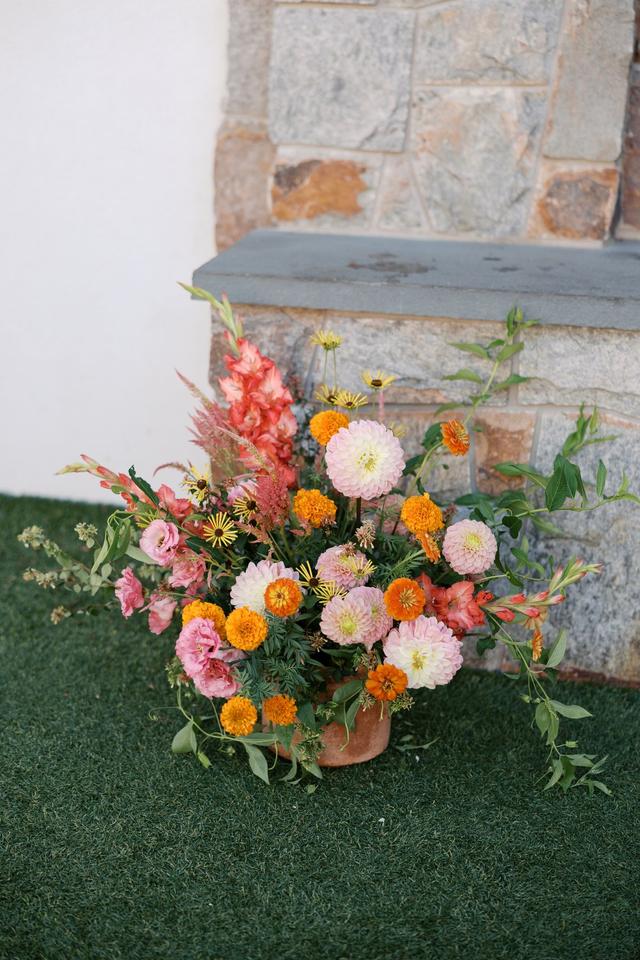 TWIG Gardens - 2