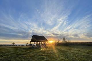 Zugibe Vineyards - 5