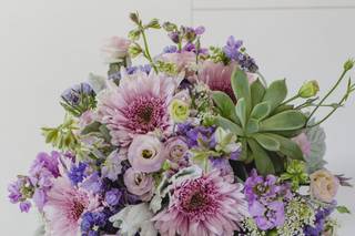 Strelitzia Flower Company - 34