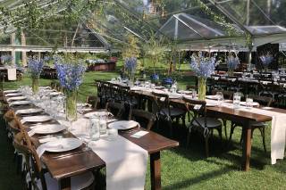 Willow Tree Events - 7