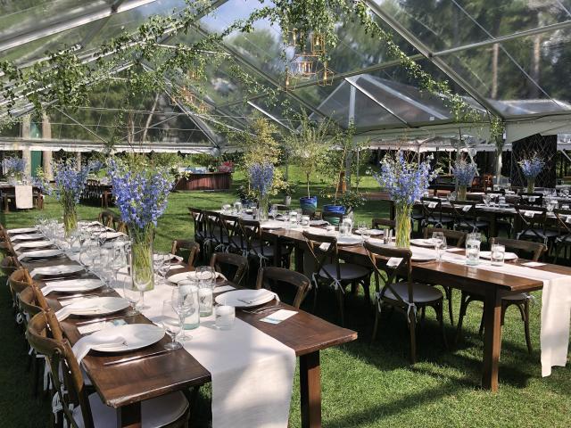 Willow Tree Events - 1