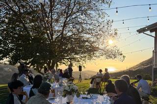 Big Dog Vineyard - 6