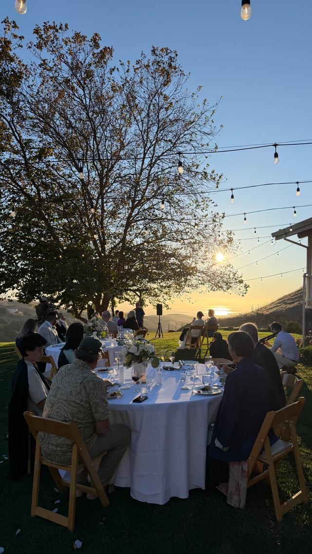 Big Dog Vineyard - 2