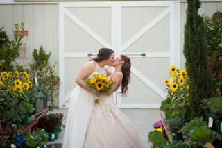 Kristal Miller Photography - 16