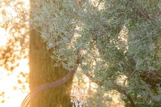 Stonebridge Manor by Wedgewood Weddings - 47