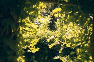Zimmerman Photography - 5