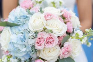 Peterman Photography & Video - 18