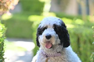 Thanh Trinh Photography - 19