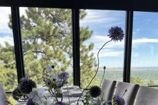 Boulder Blooms - 7