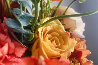 Absolutely Perfect Special Occasions - 18