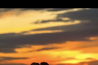 Yellow House Images - 22