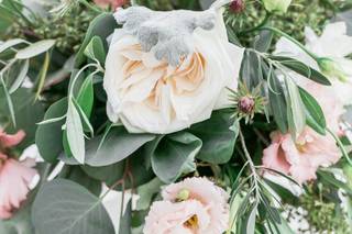 Lois Mathews Design - 35